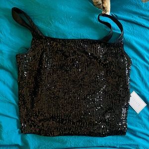 NWT boxy sequin crop top